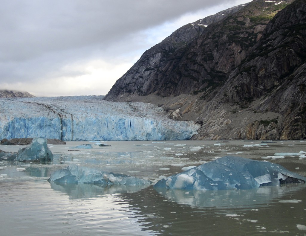 Blue glacier & icebergs