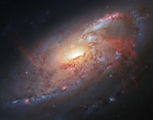 M106 Galaxy, Hubblesite.org