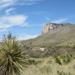 Guadalupe Mountains from Trail