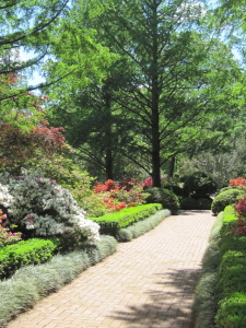 National Arboretum, May 2011