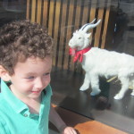 Thomas with Billy Goat