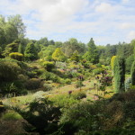 St. Andrews Botanic Gardens