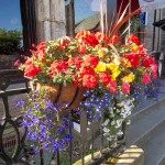 Flowers at The Russell Hotel