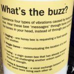 Why bees buzz