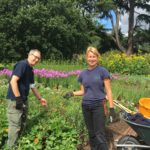 Gardeners on Broad Walk