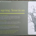 The Aging American