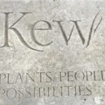 Kew marketing