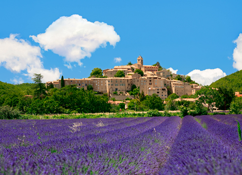Provence scenery (we missed seeing the lavender in bloom)