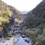 bridge over the gorge