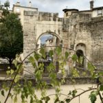 Vienne, Medieval wall