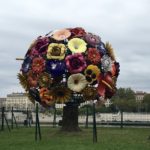 Flower Tree, Lyon