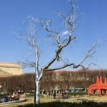 Roxy Payne’s tree at Natl Gallery Sculpture Gdn