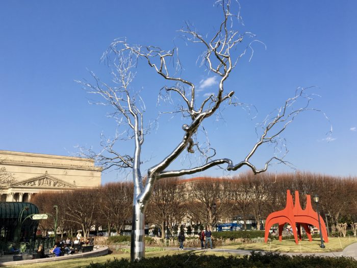 Roxy Payne’s tree at Natl Gallery Sculpture Gdn – mks con brio