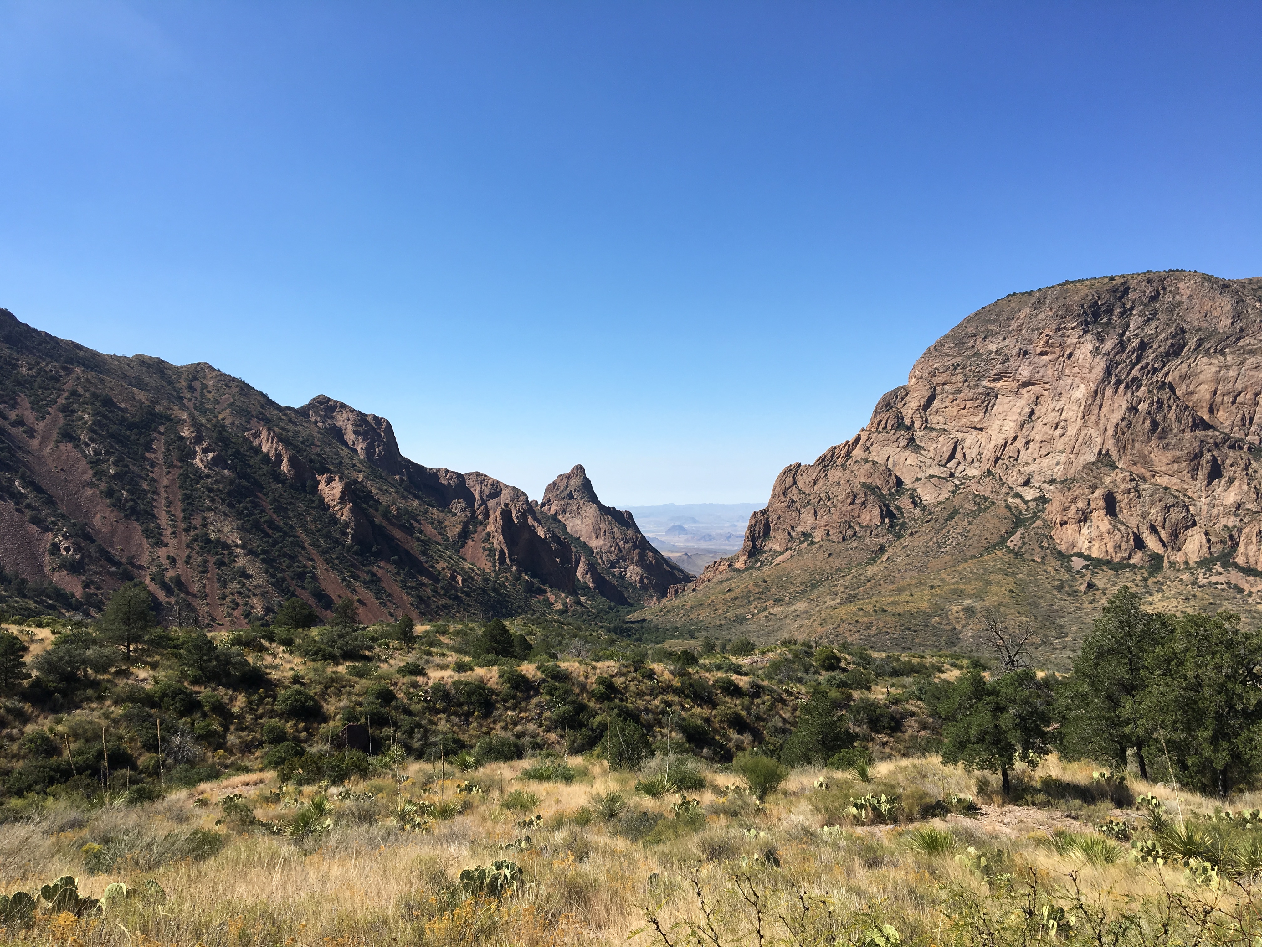 Big Bend Nat’l Park – Mks Con Brio