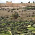 View from Holy Sepulchre