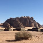 Tamarisk bush in foreground