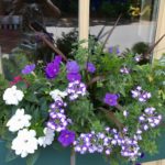 window box