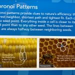 Voronoi patterns