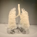 Fractal patterns in human lungs