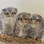 Trio of Owls