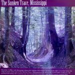 The Sunken Trace