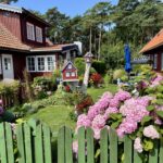 M+g6c1fHQ96gfxW08bp7YQ_thumb_da00