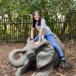 EQfzrRtuRF2HCqFfSvx33Q_thumb_de04